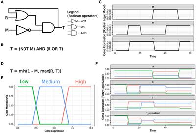 Computational modeling of aging-related gene networks: a review